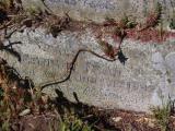 image of grave number 951703